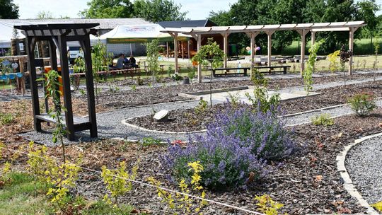 Radosny festyn rodzinny w Krasnymstawie! Ogród sensoryczny oficjalnie otwarty [GALERIA ZDJĘĆ]