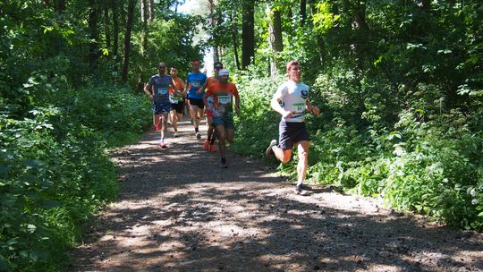 Chełm. Tłumnie upamiętnili Tomka Koguciuka. Bieg charytatywny po lesie Borek  [ZDJĘCIA]