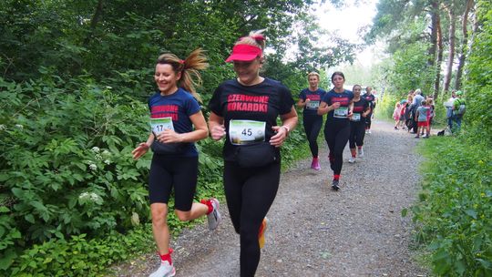 Chełm. Tłumnie upamiętnili Tomka Koguciuka. Bieg charytatywny po lesie Borek  [ZDJĘCIA]