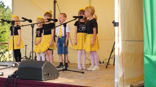 XVII Noc Świętojańska w Sawinie nad Zalewem Niwa [GALERIA ZDJĘĆ]