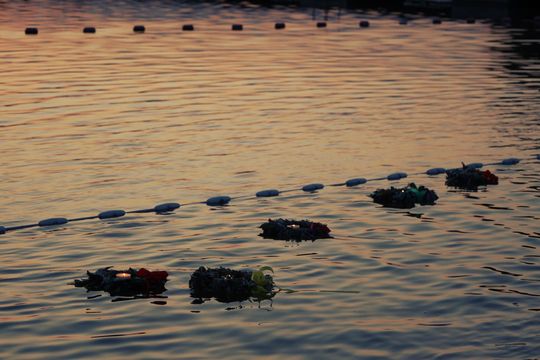 Gm. Leśniowice. Magiczny Festiwal Letniego Przesilenia trwał dwa dni [GALERA ZDJĘĆ]