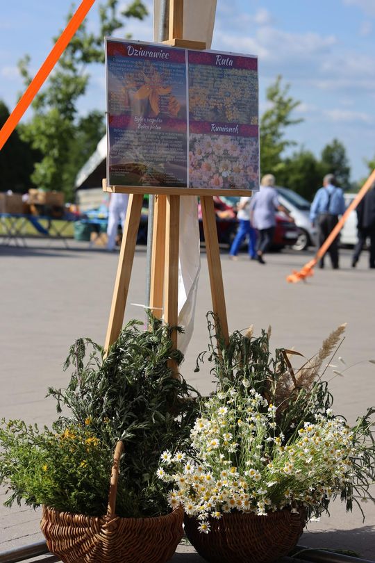Gm. Leśniowice. Magiczny Festiwal Letniego Przesilenia trwał dwa dni [GALERA ZDJĘĆ]
