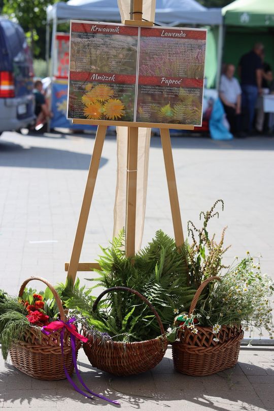 Gm. Leśniowice. Magiczny Festiwal Letniego Przesilenia trwał dwa dni [GALERA ZDJĘĆ]