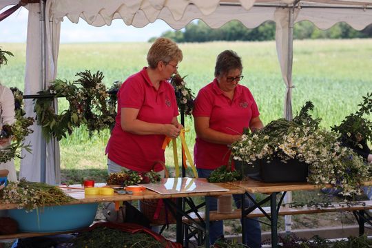 Gm. Leśniowice. Magiczny Festiwal Letniego Przesilenia trwał dwa dni [GALERA ZDJĘĆ]