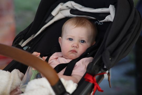 Gm. Leśniowice. Magiczny Festiwal Letniego Przesilenia trwał dwa dni [GALERA ZDJĘĆ]