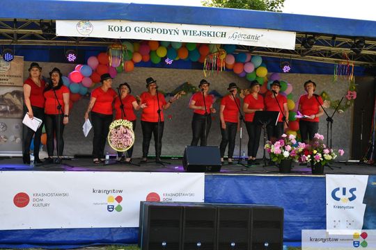 Radosny festyn rodzinny w Krasnymstawie! Ogród sensoryczny oficjalnie otwarty [GALERIA ZDJĘĆ]