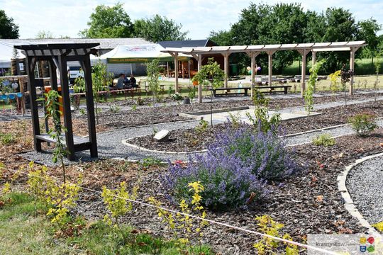 Radosny festyn rodzinny w Krasnymstawie! Ogród sensoryczny oficjalnie otwarty [GALERIA ZDJĘĆ]