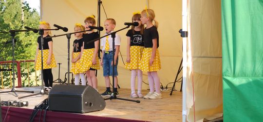 XVII Noc Świętojańska w Sawinie nad Zalewem Niwa [GALERIA ZDJĘĆ]