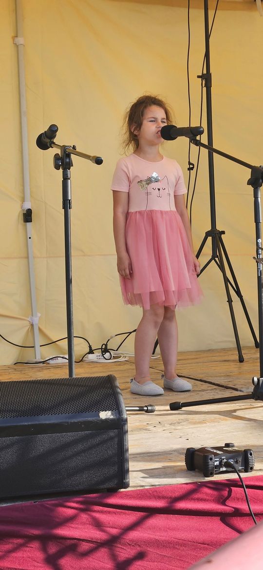 XVII Noc Świętojańska w Sawinie nad Zalewem Niwa [GALERIA ZDJĘĆ]