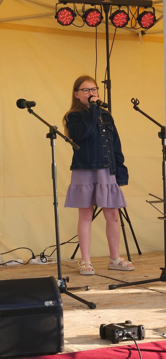 XVII Noc Świętojańska w Sawinie nad Zalewem Niwa [GALERIA ZDJĘĆ]