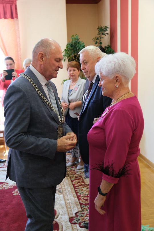 Przeżyli razem tyle pięknych lat! Złote Gody w gminie Wojsławice [GALERIA ZDJĘĆ]