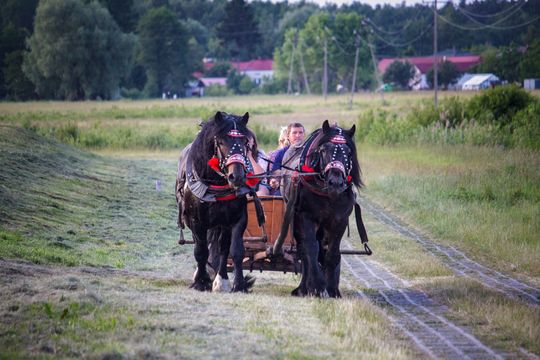 XVII Noc Świętojańska w Sawinie nad Zalewem Niwa [GALERIA ZDJĘĆ]