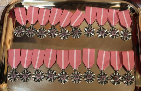 Złote Gody w gminie Siedliszcze. Przez wiele lat razem [GALERIA ZDJĘĆ]