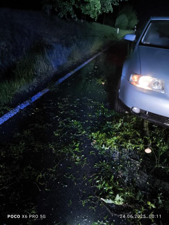Nocna burza znów powalała drzewa w powiecie krasnostawskim i chełmskim. Strażacy usuwają skutki wichury [ZDJĘCIA]