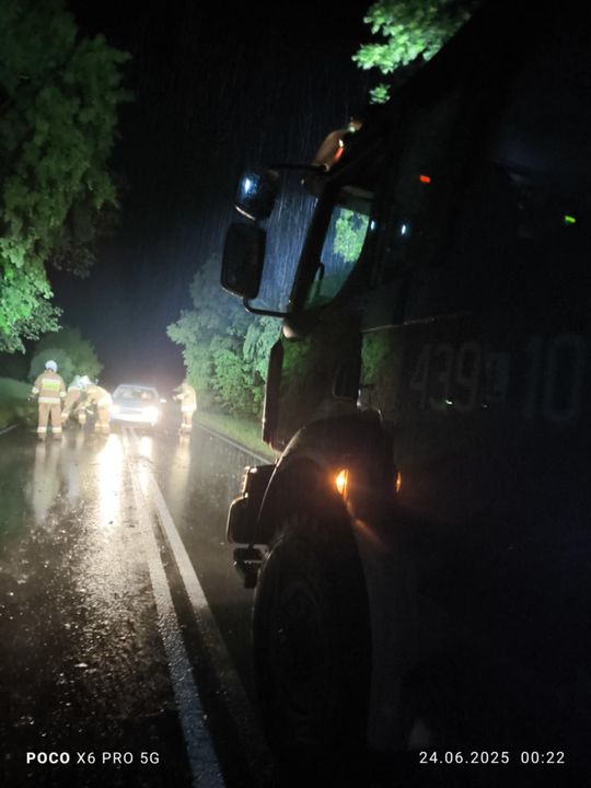 Nocna burza znów powalała drzewa w powiecie krasnostawskim i chełmskim. Strażacy usuwają skutki wichury [ZDJĘCIA]