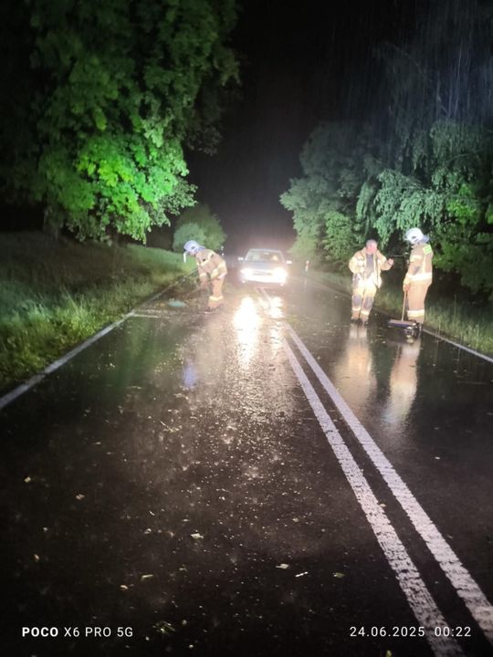 Nocna burza znów powalała drzewa w powiecie krasnostawskim i chełmskim. Strażacy usuwają skutki wichury [ZDJĘCIA]