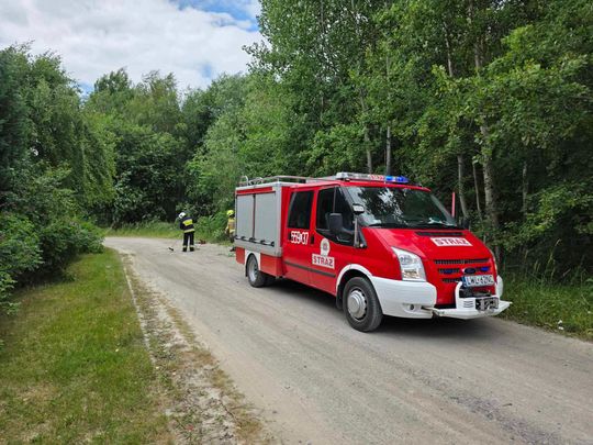Nocna burza znów powalała drzewa w powiecie krasnostawskim i chełmskim. Strażacy usuwają skutki wichury [ZDJĘCIA]