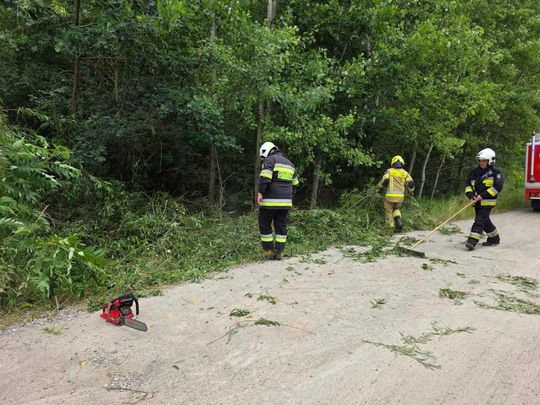 Nocna burza znów powalała drzewa w powiecie krasnostawskim i chełmskim. Strażacy usuwają skutki wichury [ZDJĘCIA]