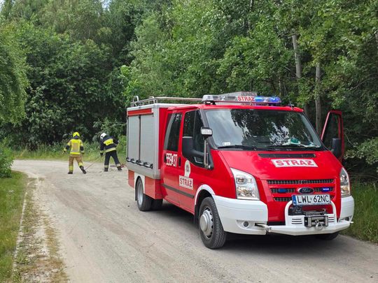 Nocna burza znów powalała drzewa w powiecie krasnostawskim i chełmskim. Strażacy usuwają skutki wichury [ZDJĘCIA]