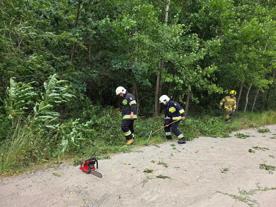 Nocna burza znów powalała drzewa w powiecie krasnostawskim i chełmskim. Strażacy usuwają skutki wichury [ZDJĘCIA]