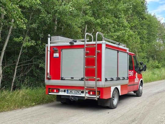Nocna burza znów powalała drzewa w powiecie krasnostawskim i chełmskim. Strażacy usuwają skutki wichury [ZDJĘCIA]