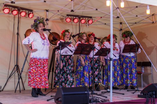 XVII Noc Świętojańska w Sawinie nad Zalewem Niwa [GALERIA ZDJĘĆ]