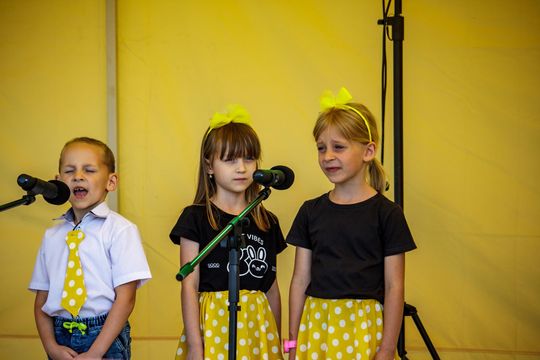 XVII Noc Świętojańska w Sawinie nad Zalewem Niwa [GALERIA ZDJĘĆ]