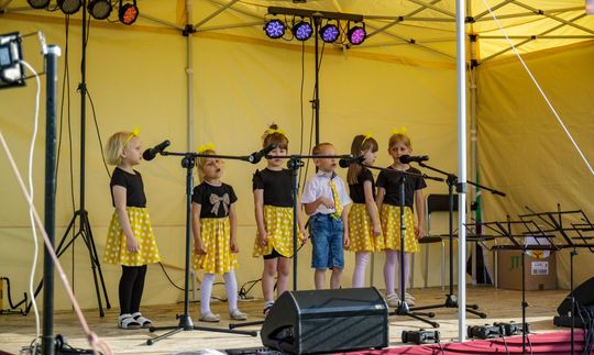 XVII Noc Świętojańska w Sawinie nad Zalewem Niwa [GALERIA ZDJĘĆ]