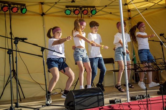 XVII Noc Świętojańska w Sawinie nad Zalewem Niwa [GALERIA ZDJĘĆ]