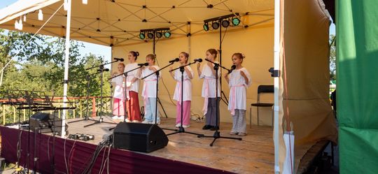 XVII Noc Świętojańska w Sawinie nad Zalewem Niwa [GALERIA ZDJĘĆ]