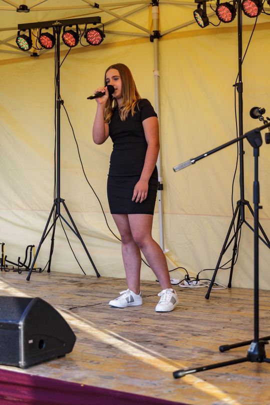 XVII Noc Świętojańska w Sawinie nad Zalewem Niwa [GALERIA ZDJĘĆ]