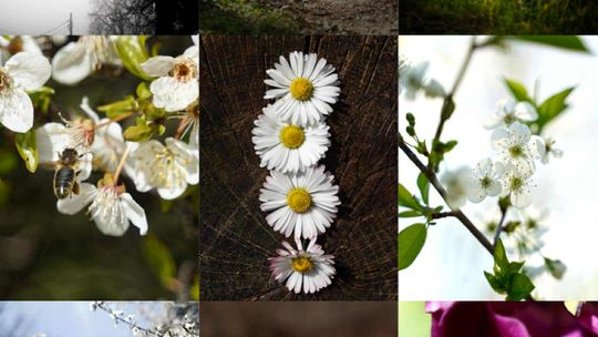 Młody fotograf z Krasnegostawu znajduje własną drogę – przez obiektyw, emocje i światło [GALERIA ZDJĘĆ]