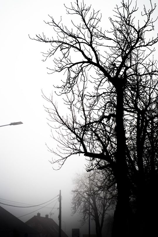 Młody fotograf z Krasnegostawu znajduje własną drogę – przez obiektyw, emocje i światło [GALERIA ZDJĘĆ]