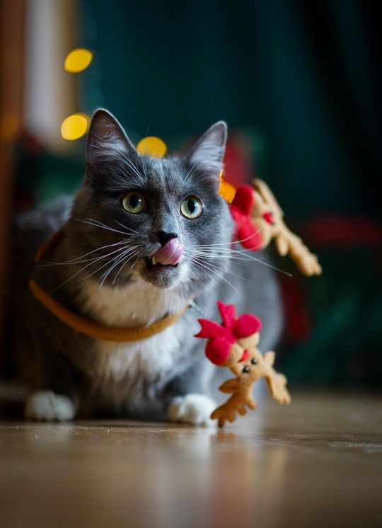 Młody fotograf z Krasnegostawu znajduje własną drogę – przez obiektyw, emocje i światło [GALERIA ZDJĘĆ]