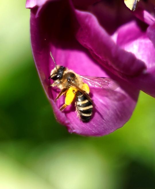 Młody fotograf z Krasnegostawu znajduje własną drogę – przez obiektyw, emocje i światło [GALERIA ZDJĘĆ]