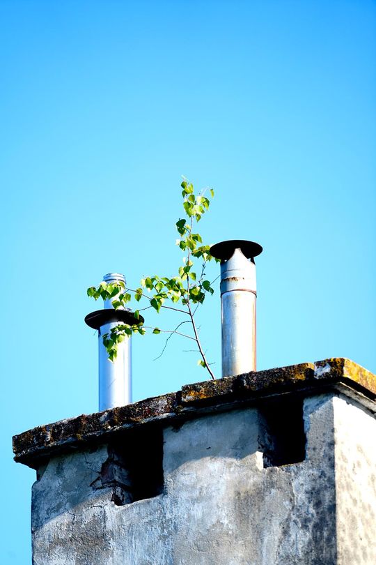 Młody fotograf z Krasnegostawu znajduje własną drogę – przez obiektyw, emocje i światło [GALERIA ZDJĘĆ]