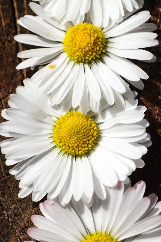 Młody fotograf z Krasnegostawu znajduje własną drogę – przez obiektyw, emocje i światło [GALERIA ZDJĘĆ]