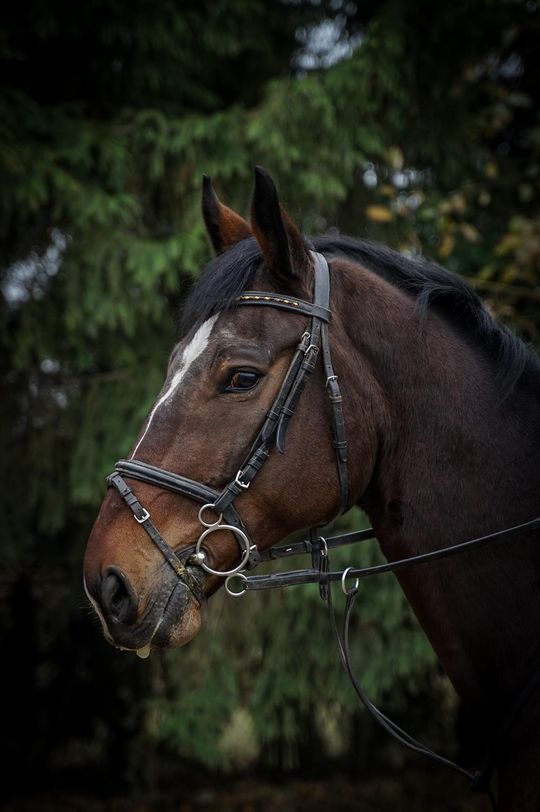 Młody fotograf z Krasnegostawu znajduje własną drogę – przez obiektyw, emocje i światło [GALERIA ZDJĘĆ]
