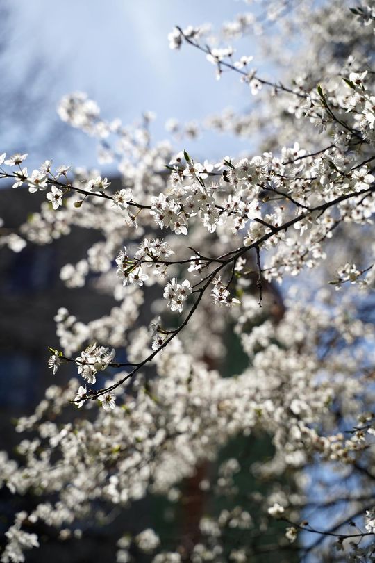 Młody fotograf z Krasnegostawu znajduje własną drogę – przez obiektyw, emocje i światło [GALERIA ZDJĘĆ]