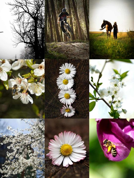 Młody fotograf z Krasnegostawu znajduje własną drogę – przez obiektyw, emocje i światło [GALERIA ZDJĘĆ]