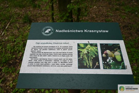 Pow. krasnostawski. Młodzieżowi radni podsumowali rok pracy [GALERIA ZDJĘĆ]