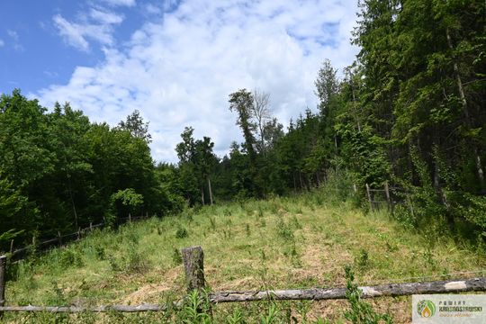 Pow. krasnostawski. Młodzieżowi radni podsumowali rok pracy [GALERIA ZDJĘĆ]