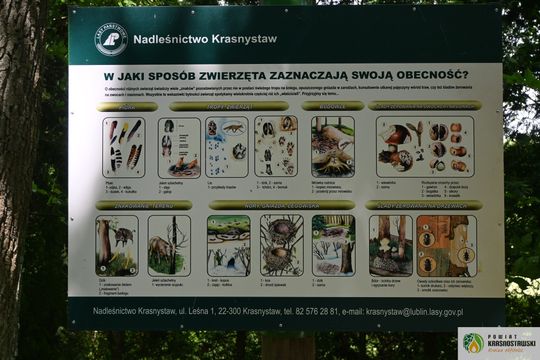 Pow. krasnostawski. Młodzieżowi radni podsumowali rok pracy [GALERIA ZDJĘĆ]