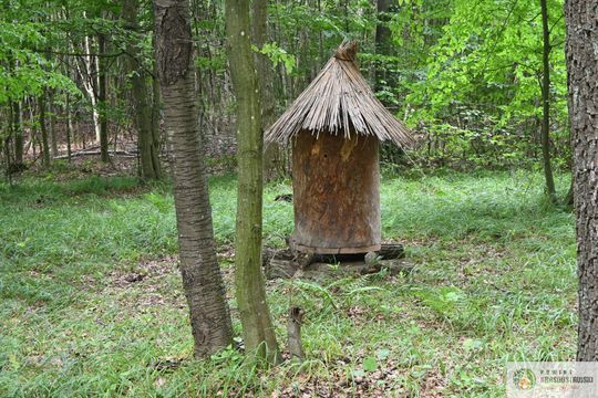 Pow. krasnostawski. Młodzieżowi radni podsumowali rok pracy [GALERIA ZDJĘĆ]