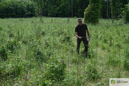 Pow. krasnostawski. Młodzieżowi radni podsumowali rok pracy [GALERIA ZDJĘĆ]