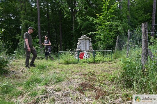 Pow. krasnostawski. Młodzieżowi radni podsumowali rok pracy [GALERIA ZDJĘĆ]