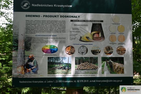 Pow. krasnostawski. Młodzieżowi radni podsumowali rok pracy [GALERIA ZDJĘĆ]