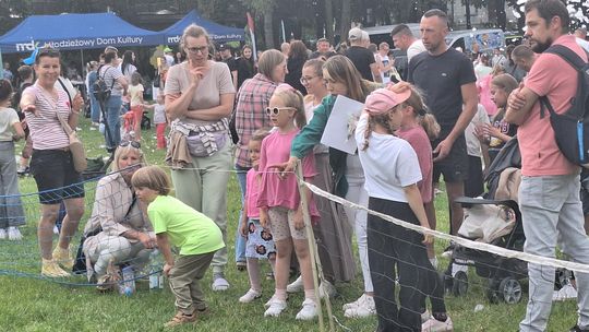 Chełm. Bezpieczne Wakacje z MDK i Fundacją CEMEX. Cz. 1 [GALERIA ZDJĘĆ]