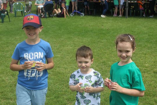 Powitanie lata w gminie Kamień [GALERIA ZDJĘĆ]