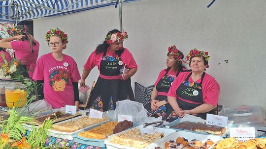 Gm. Chełm. „Fuzję Kultur 2025”. Trochę muzyki, trochę zabawy [GALERIA ZDJĘĆ]